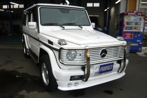 ウィンカーガード